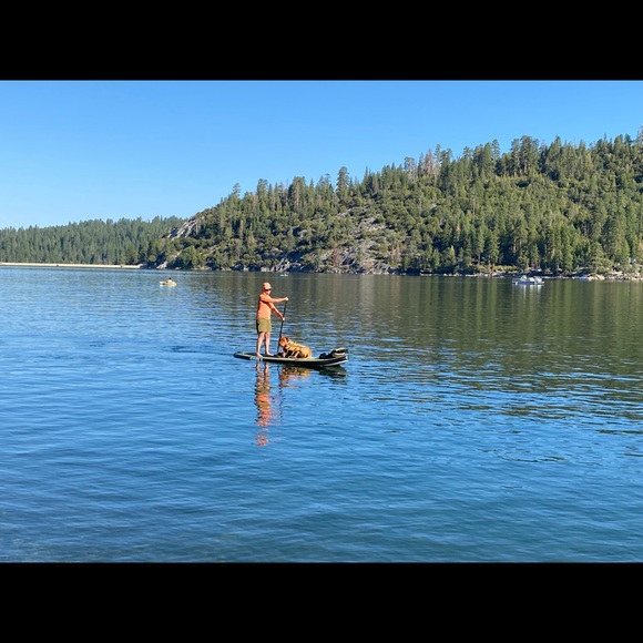 Meet the Posher - Picture 4 of 6